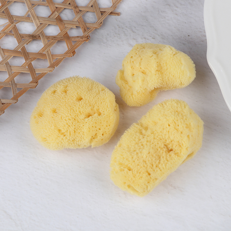 Special Texture Production Cle - Eco Sponge review and price